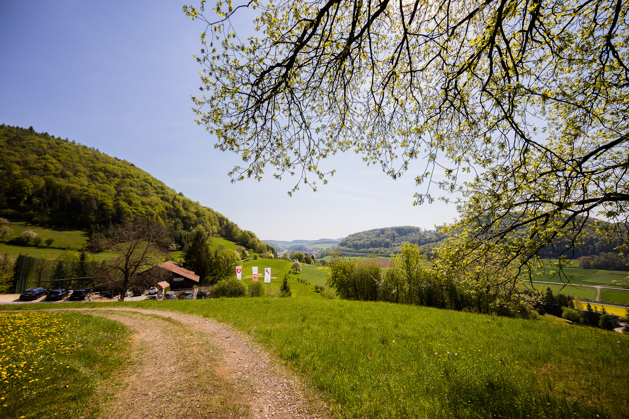 Export x3 5D4 5118 Geburtstag 75 Klara @ Golffricktal